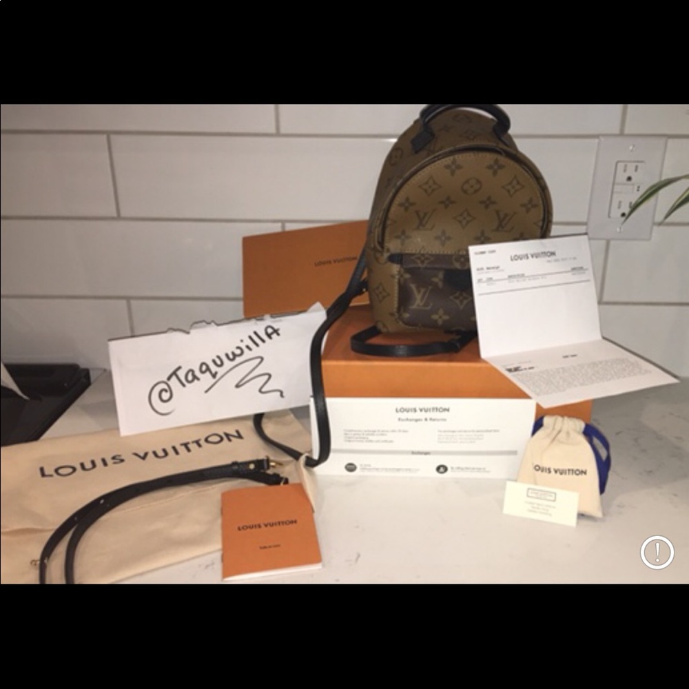 Louis Vuitton Palm Springs Mini